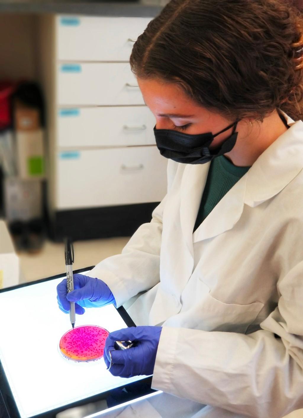 A student in a white lab coat marks a petri dish with a permanent marker